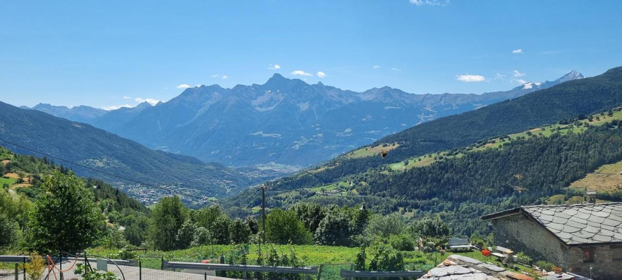Il Paradiso Cir 0003